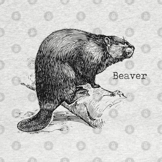 beaver by goatboyjr